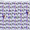 QCCP thumbnail