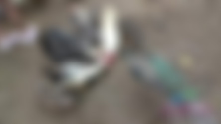ATKGirlfriends.com Complete SiteRip - Part #11 - Videos/2018.10.05-Episode 778-Scene #7-Carolina Sweets-Virtual Vacation Movie.mp4