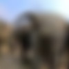 SD/My Travels