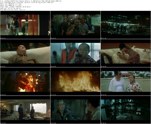 无间道ⅠⅡⅢ.2002-2003.国粤双语.中英字幕￡CMCT九洲客/[无间道Ⅱ(国粤双语)].Infernal.Affairs.Ⅱ.2003.Bluray.720p.x264.AC3.2Audio-CMCT.jpg
