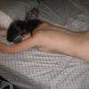 Slut11 thumbnail