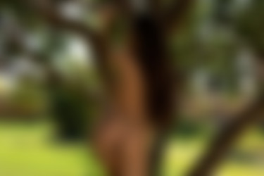 2021phdee/2021-10/[photodromm.com] - 20.10.2021 - Rachel - Shaking The Tree II (x46, 3000px)/Shaking The Tree II (31).jpg
