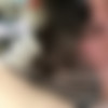 joesphine thumbnail