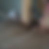 Lovely Teen Blowjob W Cum in Mouth thumbnail