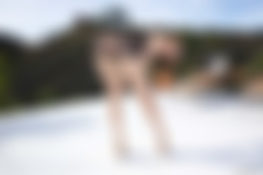 Chanel Preston Bubbly Personality, Bubbly Ass/0023.jpg