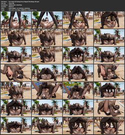 YeYeBirdie Additional Content 4k Part 5/Screens/BBC Beach Sequel/Outfits/Sex Anim 02 Mating Press Ripped Stockings 4K.mp4.jpg