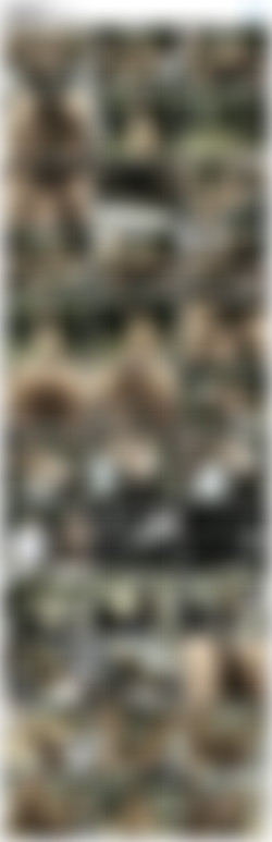 World Sex Tour 16/screenshots/VTS_01_3.VOB.jpg