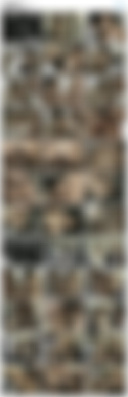 World Sex Tour 16/screenshots/VTS_01_4.VOB.jpg