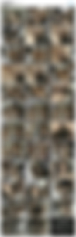 World Sex Tour 16/screenshots/VTS_01_5.VOB.jpg