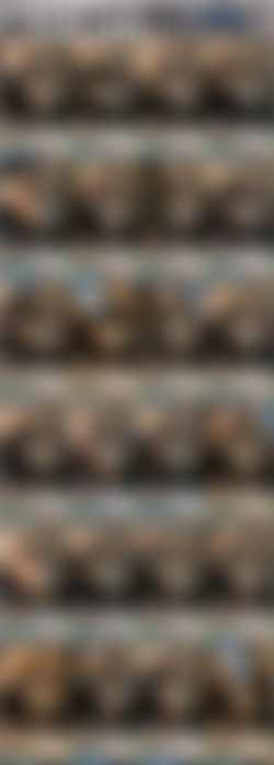 608 x 1080 Pt.2/Scr/Let me make u Cum please Ladies_Daddy3700_1080p.mp4.jpg
