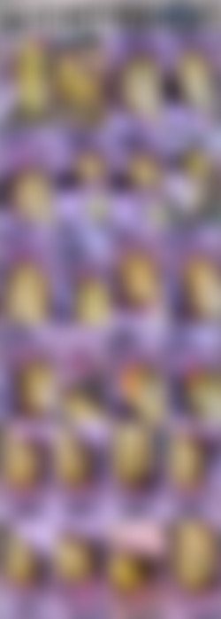 608 x 1080 Pt.2/Scr/MASSIVE GOURD. I just cannot make it Fit. (Tiny Squirt 5;33 see It¿)_PizzaMonsters_1080p.mp4.jpg