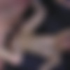 Cumshot