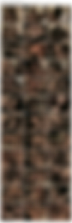 allanah/Screens/Allanah Goes To Vegas!-3_thumb.jpg