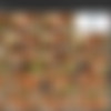 Alyssa Lynn/Screens/Added Scenes