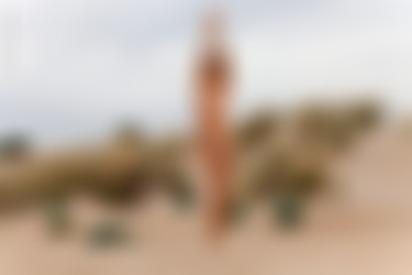 [photodromm.com] 2016-03/[photodromm.com] - 2016.03.16 - Claudia - Nudes on Dunes (x54) 2000x3000/43l.jpg