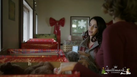 Hallmark Christmas Movies Pack Three/A December Bride 2016 Hallmark 720p hdtv x264 Solar.mp4