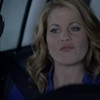Hallmark Christmas Movies Pack Three thumbnail