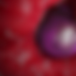 ULTPHI 05white swallow4 3PHELL