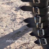 striplvgirls.com HD thumbnail