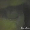 hgv thumbnail
